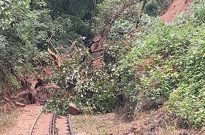 கனமழையால் மண் சரிவு! பாதி வழியில் திருப்பி அனுப்பப்பட்ட மலை ரயில்!