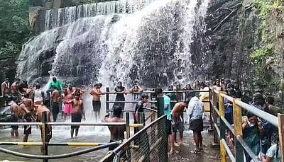 ஆடி அமாவாசை: சுருளி அருவியில் புனித நீராடிய பக்தா்கள்