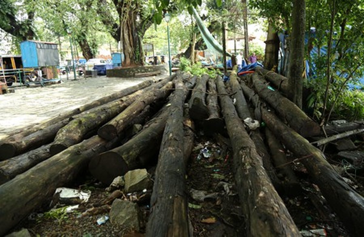 இந்திய வனங்கள் - கொள்கையும் அழிவும்
