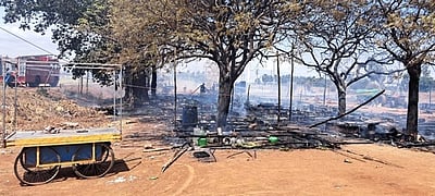 கோயில் திருவிழா குடிலில் தீ:
7 ஆடுகள் பலி ரூ. 25 லட்சம் மதிப்பிலான பொருள்கள் சேதம்