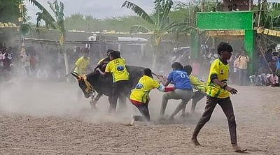 கமுதி அருகே வடமாடு மஞ்சுவிரட்டு