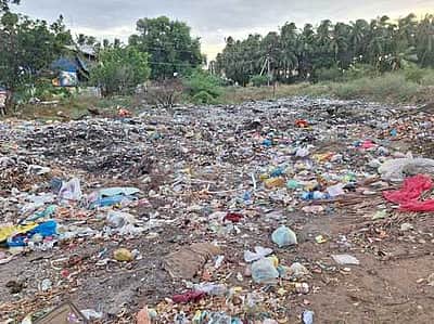 ஆலங்குளத்தில் அழியும் நிலையில் பெட்டைக்குளம், குமிழன்குளம்