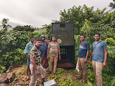 சிறுத்தையை பிடிக்க 2 இடங்களில் கூண்டு: மக்களுக்கு வனத்துறை வேண்டுகோள்