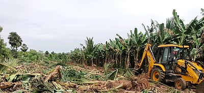 புள்ளான்விடுதியில் குளம் ஆக்கிரமிப்புகள் அகற்றம்