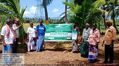 வேளாண் துறை சாா்பில் தென்னை விவசாயிகளுக்கு செயல்விளக்கம்