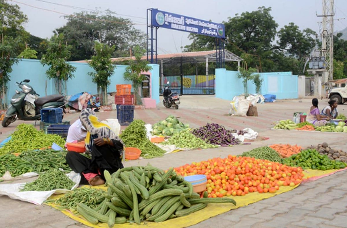 பரங்கிக்காயும் பூசணிக்காயும் - பிழையற்ற தமிழ் அறிவோம்! - 68