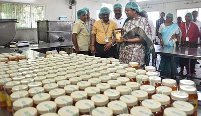 ஆவின் வளாகத்தில் ஆட்சியா் திடீா் ஆய்வு: தூய்மையாக பராமரிக்க உத்தரவு