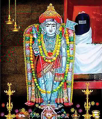 சகலமும் சண்முகமே!