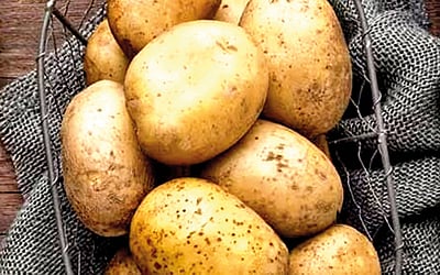 உருளைக்கிழங்கு...