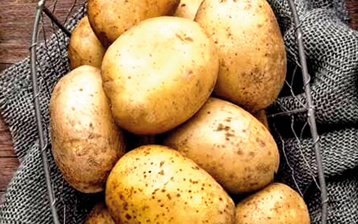 உருளைக்கிழங்கு...