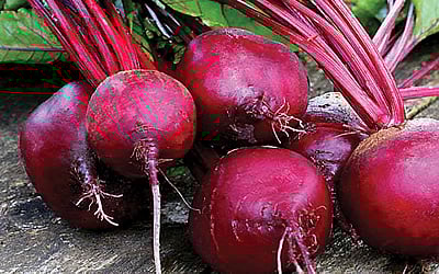 இரும்புச் சத்து நிறைந்த உணவுகள் என்னென்ன?