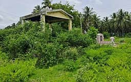 சிவகாசி அருகே மயானத்தை 
இடமாற்ற அமைச்சா் ஆய்வு