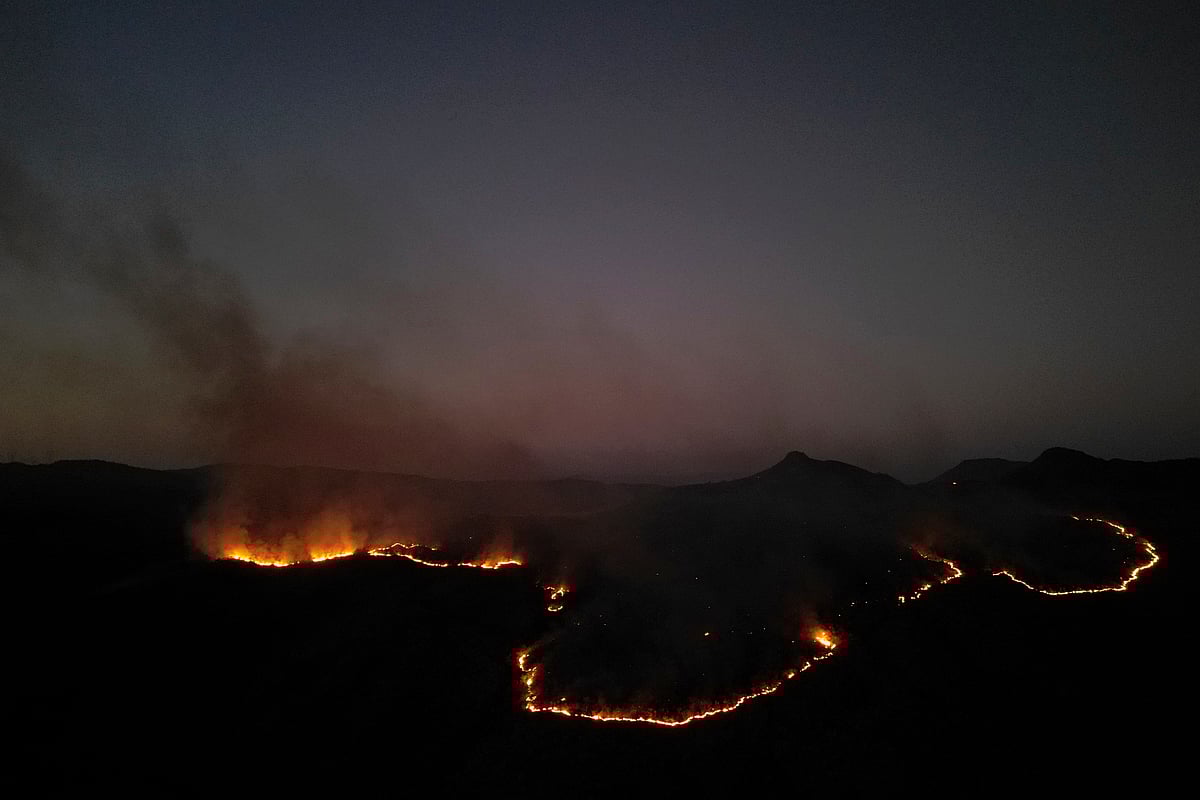 தீசூழ் காடு...