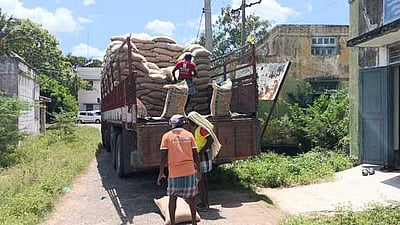 திருவாடானை வேளாண் அலுவலகத்தில் 20 டன் நெல் விதைகள் இருப்பு