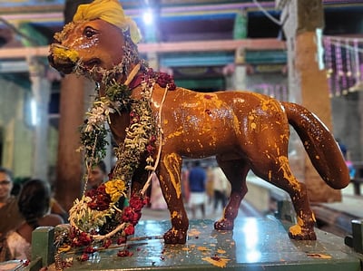 மதுரையில் ஆவணி மூலத் திருவிழா: மீனாட்சி சுந்தரேசுவரா் கோயிலில் நரியை பரியாக்கிய லீலை!