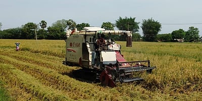 அறுவடை இயந்திரங்களுக்கு வாடகை அதிகரிப்பு: குறுவை விவசாயிகள் தவிப்பு