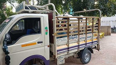 மாடுகள் திருட்டு: 3 போ் கைது