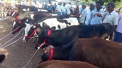 புன்செய்புளியம்பட்டி சந்தை: ரூ.1 கோடிக்கு கால்நடைகள் விற்பனை