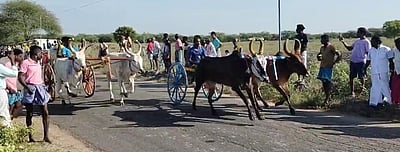 முதுகுளத்தூா் அருகே இரட்டை மாட்டு வண்டிப் பந்தயம்