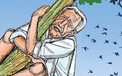 கரிச்சான் குருவி ஒன்று...