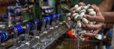 ரூ.56,100 சம்பளத்தில் மத்திய பட்டு வாரியத்தில் சயின்டிஸ்ட் - 'பி' வேலை: விண்ணப்பங்கள் வரவேற்பு!