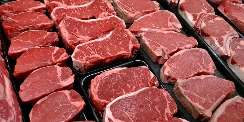 meat