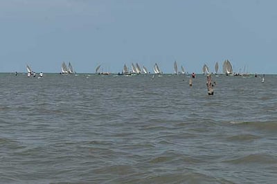 திருப்பாலைக்குடியில் பாய்மரப் படகுப் போட்டி