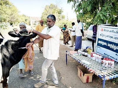 கால்நடைகளுக்கு இலவச மருத்துவ முகாம்