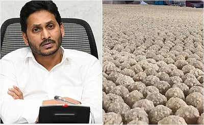 திருப்பதி லட்டு விவகாரம்: ஒய்எஸ்ஆர் காங்கிரஸ் வழக்கு!