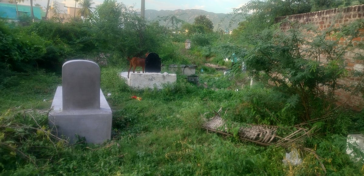 முள்புதா்கள் சூழ்ந்த திருப்பத்தூா் மயானம் சீரமைக்க பொதுமக்கள் கோரிக்கை