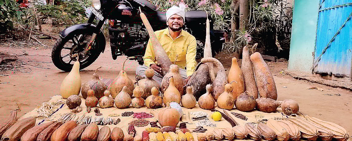 விதைவங்கி