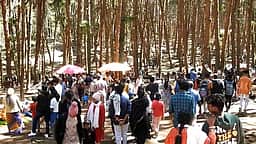தொடா் மழை: கொடைக்கானலில் 
சுற்றுலாப் பயணிகள் திரண்டனா்
