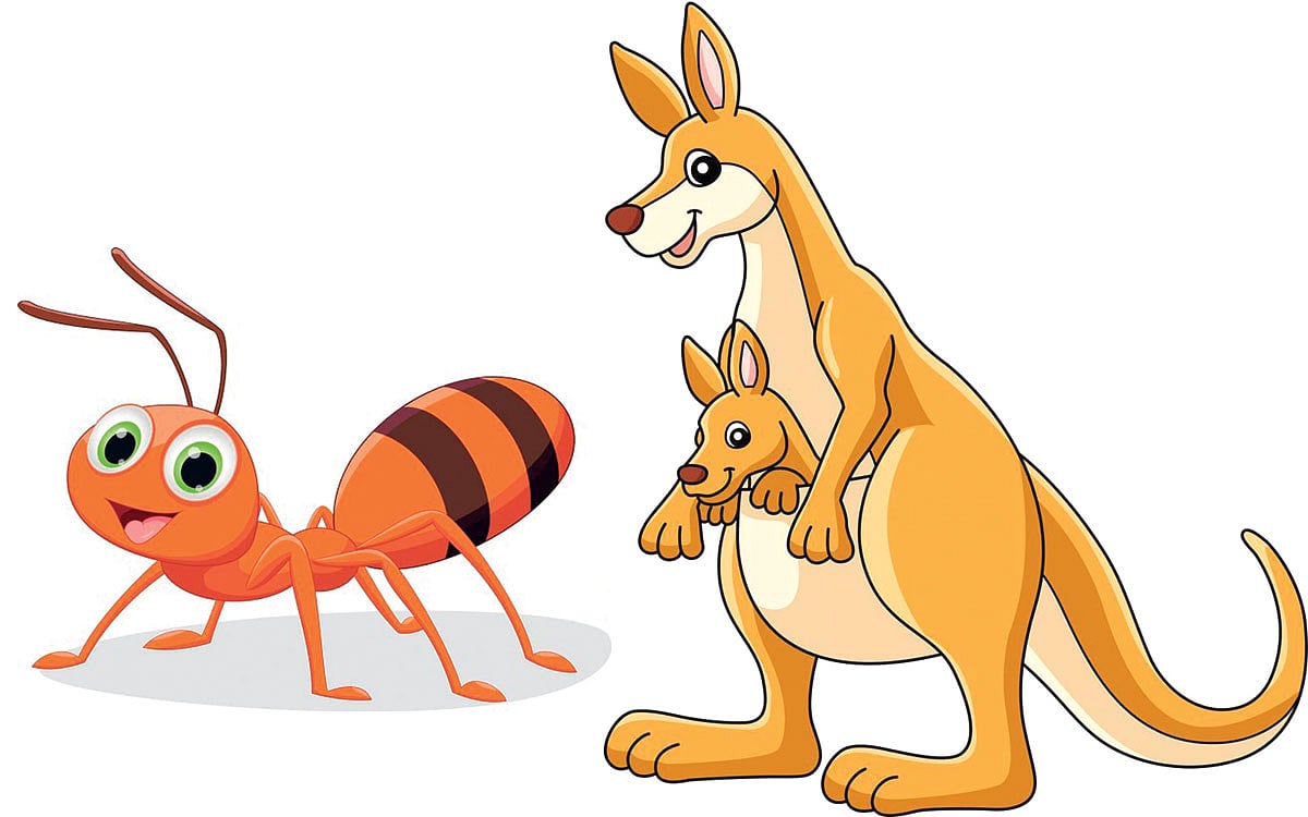 உயிரினங்களின் உலகம்