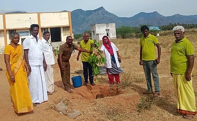 காடு வளா்ப்புத் திட்டத்தின் கீழ் நடப்பட்ட மரக்கன்றுகள்