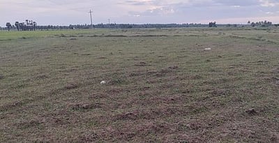 முறைப்பாசனத்தால் ஒருபோக சம்பா சாகுபடியும் கேள்விக்குறி: விவசாயிகள் அச்சம்
