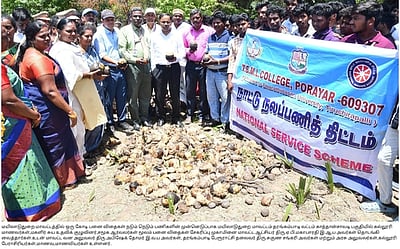 பனை விதைகள் சேகரிப்பு பணியை ஆட்சியா் தொடக்கிவைத்தாா்