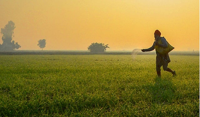 வேண்டாம் விபரீத யோசனை!