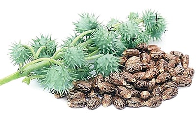 ஆயுள் காக்கும் ஆயுர்வேதம்: மாதவிலக்கு சரியான முறையில் ஏற்பட வழி என்ன?