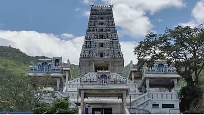 மருதமலையில் 184 அடி முருகன் சிலை அமைக்க தடையில்லாச் சான்று பெற விண்ணப்பிக்கவில்லை: வனத் துறை பதில் மனு
