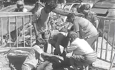 சென்னை கே.கே. நகரில் மழைநீா் கால்வாயில் விழுந்தவர் பலி