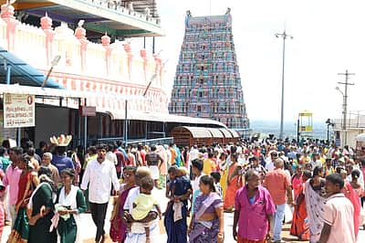 திருத்தணி முருகன் கோயிலில் 
தரிசனத்துக்கு 3 மணி நேரம் காத்திருப்பு