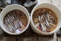 உப்பு அதிகம் எடுத்துக்கொள்கிறீர்களா? இந்த அறிகுறிகள் இருக்கலாம்!