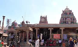 பழனி கோயிலில் இபிஎஸ் மனைவி, மகன், முன்னாள் அமைச்சா்கள் சுவாமி தரிசனம்