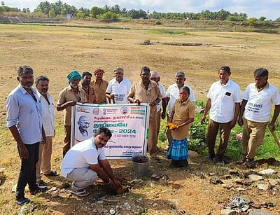 சுரண்டை நகராட்சியில் பனை விதைகள் நடவு