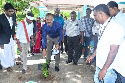 ஸ்ரீவில்லிபுத்தூா் நீதிமன்றத்தில் மரக்கன்று நடும் விழா