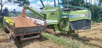 கம்பம், கூடலூா் பகுதியில் முதல்போக நெல் அறுவடைப் பணி தொடக்கம்