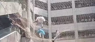 மகாராஷ்டிரம்: பேரவை வளாக மாடியிலிருந்து குதித்த பேரவை துணைத்தலைவர்!