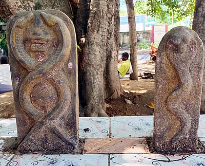 14-ஆம் நூற்றாண்டு நாகக்கன்னி புடைப்புச் சிற்பங்கள் கண்டெடுப்பு