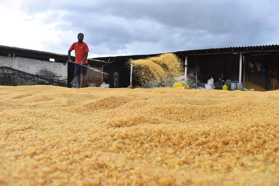 சாகுபடி மட்டுமே சாதனையல்ல!