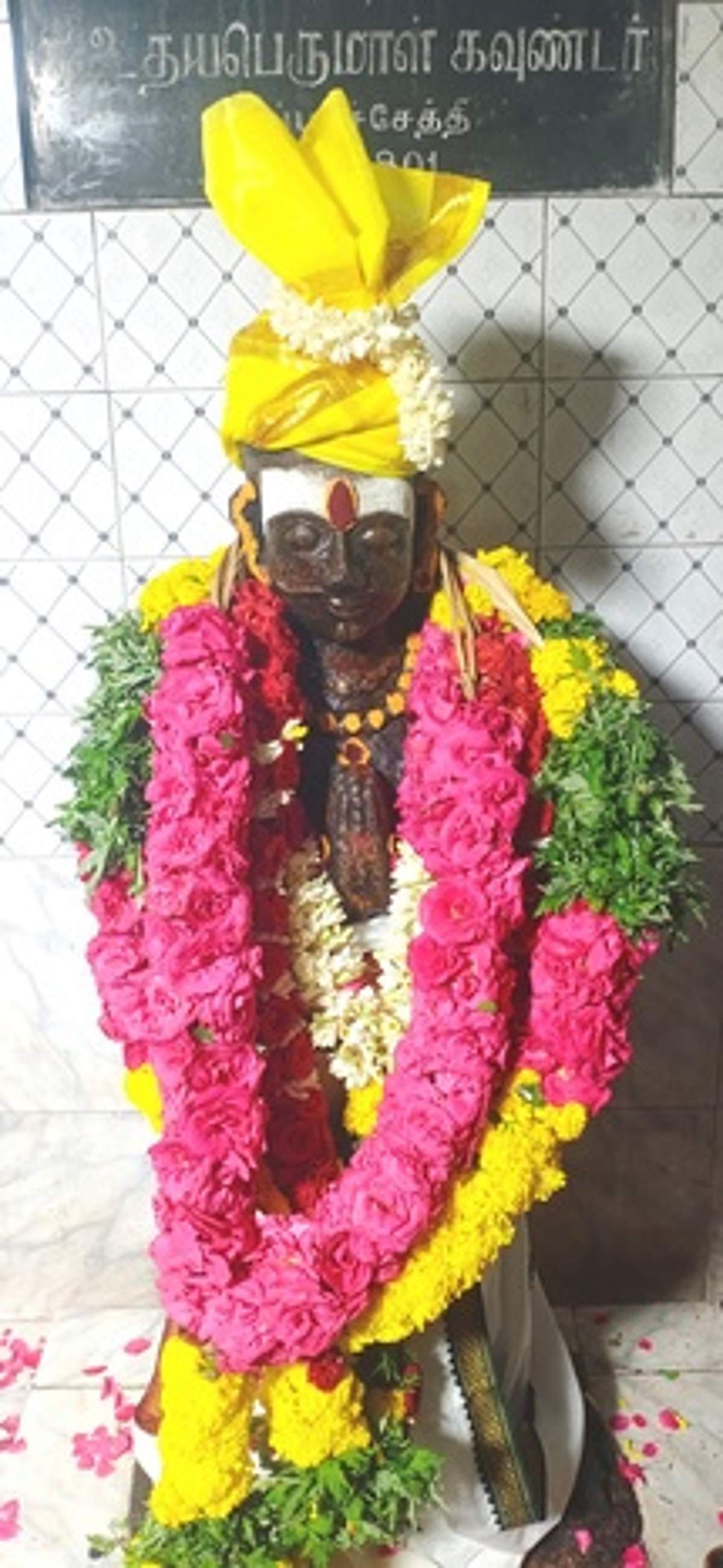 திருப்பாச்சேத்தியில் துப்பாக்கி கவுண்டா் குரு பூஜை விழா